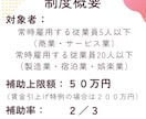 小規模事業者持続化補助金の事業計画書を支援します 商工会支援実績多数！女性診断士が初めての方も優しくサポート イメージ3
