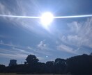 全体運＋相談事１件の運氣鑑定します 来年1年の総合運氣のバイオリズムを読み解きます イメージ1