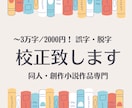 有資格者｜同人・創作小説の校正作業承ります 「ちゃんと確認したはずなのに……」を繰り返さないために！ イメージ1