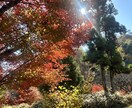 あなたの最近のお悩み聞きます 気になることを話して安心しましょう イメージ2