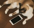 今日のモヤモヤ引き受けます 愚痴りたい、話し相手がほしい、不安を和らげたい方向け イメージ1