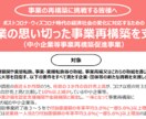 事業再構築補助金のフォーマット販売します 実際に採択された事業計画書を改変したフォーマットです！ イメージ2
