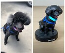 愛するペットのフィギュアを本物そっくりに作ります 3000円でオーダーできる世界に1つだけの小さな宝物 イメージ2