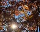 誰かに聴いてもらいたいを聴きます 重度の鬱、統合失調症からの社会復帰をした私が聴きます イメージ1