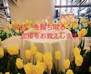 元人事担当者が「心に響く」面接対策をします 様々な場面で心を伝えるコミュニケーションマナーを提案します。 イメージ1