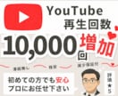 YouTube再生回数を+10000回～増やします 全世界に宣伝して10000回以上増加するまで拡散します イメージ1