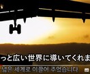 YouTube動画に韓国語の翻訳字幕をつけます 韓国語の翻訳字幕を入れ、韓国からの視聴者を確保しましょう イメージ3