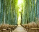 誰かとちょこっと話したいとき、1分でもお話聞きます 雑談から悩み事まで！お試し1分から！途中で切っても大丈夫！ イメージ3