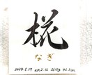 命名書《 愛おしの名 》書道家が揮毫致します 一生物 ２０×２０cm クリアフレーム付き☆ イメージ3