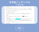 実績4年◇AI不使用の丁寧な文字起こしを提供します 【話者識別・タイムコード記載】全部込みで1分80円の安心価格 イメージ6