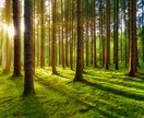カウンセラーが心のモヤモヤ、全部受け止めます ｜「わかってほしい」その気持ち、優しく受け止めます。 イメージ6