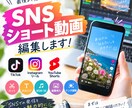 SNS用ショート動画作成できます SNS全般のショート動画お任せください。 イメージ1