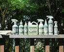 LPの構成・ライティング・商品撮影までやります 現役ディレクター兼フォトグラファーが構成も写真も対応！ イメージ10