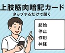 解剖学筋肉暗記カード配布します 解剖学を学ぶ学生さん、新人さん必見！上肢の筋肉暗記カード イメージ1