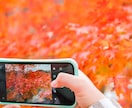 バズり経験あり！！！素敵な写真に仕上げます ご要望通りのレタッチで写真をさらに素敵なものにします♪ イメージ6