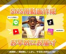 SNS向けのショート動画を編集します Tiktok歴約3年の私があなたの動画を編集します！ イメージ1