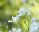 夢診断×霊視透視❀夢のメッセージを深く紐解きます あなたの夢に隠されたメッセージを魂のレベルから読み解きます イメージ7