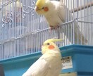 些細な愚痴〜どんな愚痴までもうかがいます 理不尽な世の中。吐き出して吐き出してスッキリしてください！ イメージ3