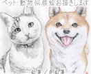 ペット・動物似顔絵お描きします 可愛いペット・動物を鉛筆／色鉛筆でスケッチ風、写実系似顔絵に イメージ1