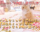 友だち、恋人、家族、ママ友、なんにでもなります 友達のように、恋人のように、ヒマつぶしに自由にお話ください☆ イメージ1