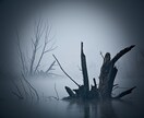 未来が見えない【不倫の行末】その真実をお伝えします 不倫・W不倫・浮気などの複雑愛を4つのクレアで深く霊視します イメージ5