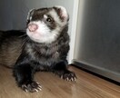 心のモヤモヤ何でもうけたまわります 日々の癒して明日への活力、希望を提供させていただきます。！ イメージ1
