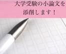 AO・公募入試希望の方の、小論文を添削いたします 元塾講師がAO入試・公募入試で使用する小論文を添削します！ イメージ1
