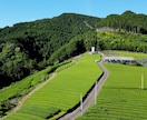 ドローンを用いた美しい空撮映像を撮影いたします 最新一眼レフでの風景撮影も追加可能です！ イメージ8