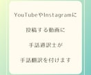 あなたの動画に手話翻訳を付けます 手話通訳士が日本語の動画に手話を付けます。 イメージ3