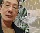 男選びで失敗しないようアドバイスします パ−トナ−選びは人生選び、☓1だからこそ教えられるポイント イメージ1