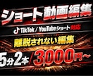 動画編集承ります 2本TikTok・YouTubeショート編集 イメージ1