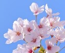 話してスッキリしたい方、お待ちしています 5分など短時間でもOK日常から少し離れて、お話しましょう イメージ7