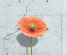 画像のクオリティ上げます photoshop歴10年目のプロが画像のクオリティを格上げ イメージ2