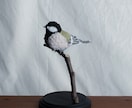 手縫いと木彫りで、理想の鳥をオーダー制作します 飼い鳥、インコさん、野鳥など独自のぬいぐるみを制作します イメージ9