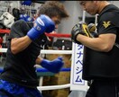 ボクシング練習の動画を観てアドバイスします 世界チャンピオン育成トレーナーがボクシングのアドバイス イメージ1