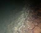 主に風景写真を提供します 私の写真が届ける、自然の美しさと心の喜び。 イメージ2