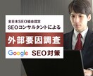 SEO外部要因調査を代行します 【プロの提案】全日本SEO協会認定SEOコンサルタント監修 イメージ1