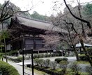 あなたのお話を聴きます 誰にもなかなか言えない話、聞いてもらいたい話をお聴きします。 イメージ4