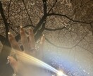 悩み、愚痴、何でも聞きます ：知らない人だから話せること、打ち明けて心を軽くしませんか？ イメージ2