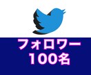 Twitterの日本人フォロワー100人増加します 日本アカウント★Twitter（X）フォロワー増加 イメージ1