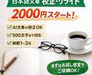 商品説明文・マニュアルを分かりやすく整えます 商品説明文・マニュアルを分かりやすく作成します イメージ1