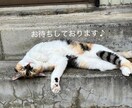 人に言えニャい話　とことんお付き合いします のろけ 密かな楽しみ 自慢  推し活　思いっきり話せます！ イメージ3
