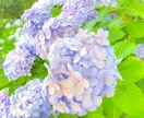 あなたが主役♡話相手に！何でもお聞きします 自慢 人間関係 コロナ さびしい イメージ7