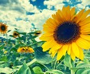 ちょっとポジティブに。ゆっくり話聞きます 否定はしません。一緒にほっこりした時間を過ごしましょう！ イメージ2