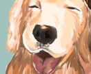 お写真から似顔絵お描きします 様々な雰囲気対応可能！大切なペットも大歓迎です♡ イメージ7