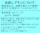 ウェブサイトのアクセシビリティ検査を行います 初めてのお客様は、全プラン半額になります。 イメージ3