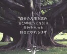 あなたの歩んできた人生を聞かせていただきます これまでの人生を語ってみてください！ イメージ3