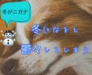 冬の体調不良に悩んでる方のお話を聴きます 季節性うつ、冬季うつの苦しみや悩みを経験者にぶつけてください イメージ1