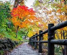 雑談〜お悩みまで☆なんでも優しく穏やかにお聞きます どんな事でも大丈夫✨安心して心の内をお話ください☘️ イメージ9