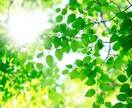 貴方様の悩みを一緒に解決します タロット占いで未来をより良い方向へ イメージ1
